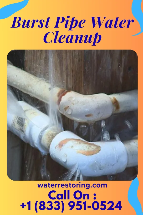 Burst Pipe Water Cleanup in Homewood Canyon, CA